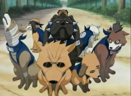 perros de Naruto