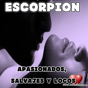 escorpion-1-300x300