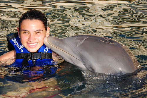 beso de delfin