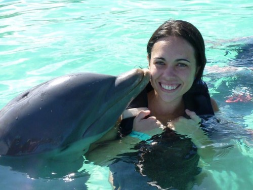 imagen de amistad delfin