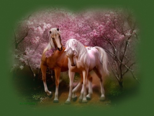 caballos-romanticos-imagen