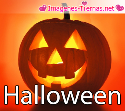 Feliz noche de brujas - Halloween 2012 