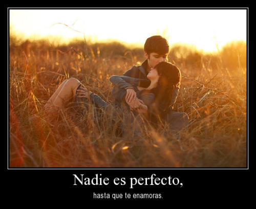 Nadie es perfecto hasta que te enamoras