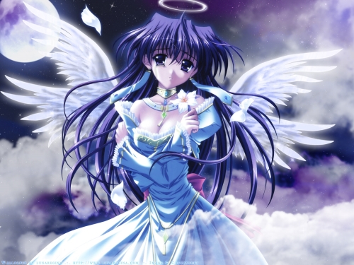 Angel Anime