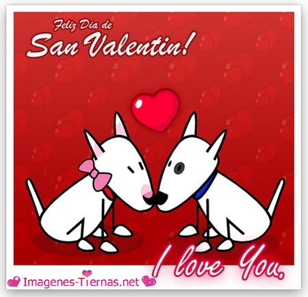 San Valentin Día del Amor y de la Amistad - Imágenes (3)