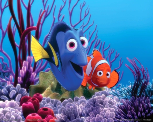 Buscando a Nemo