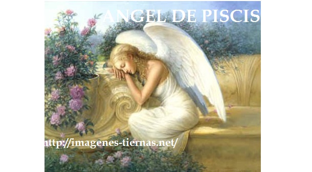 angel 12
