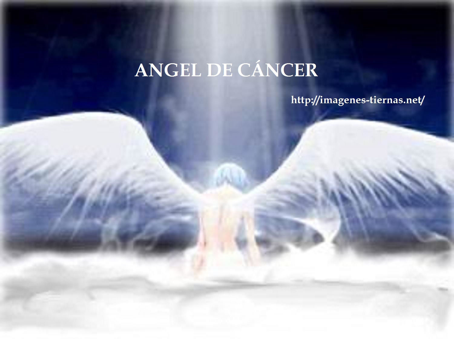 angel 5