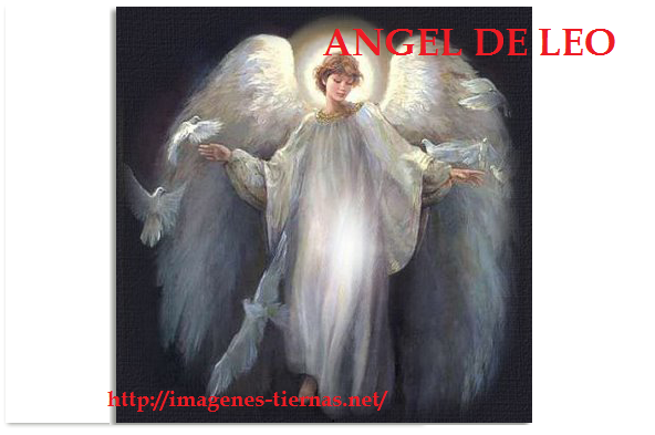 angel 6